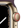 Picture of Apple Watch Series 7 (GPS + Cellular, 45MM) - Gold Stainless Steel Case with Dark Cherry Sport Band (Renewed Premium)