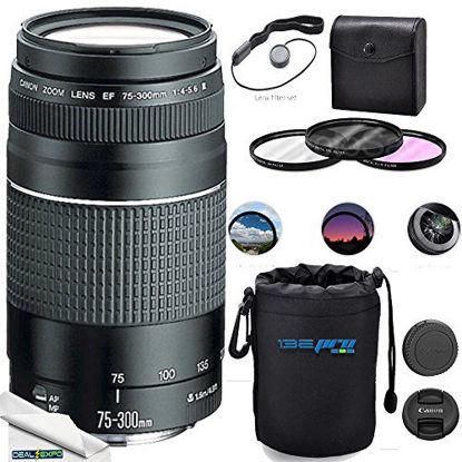 Picture of Canon EF 75-300mm f/4-5.6 III Lens + Deal-Expo Accessories Kit