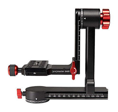 Picture of ProMaster GH25 Professional Gimbal Head (7201)