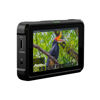 Picture of Atomos Shinobi 5-inch HDMI 4K Monitor