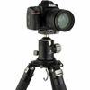 Picture of Robus RTH-1050 Triple Action Ball Head