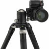 Picture of Robus RTH-1050 Triple Action Ball Head