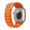 Picture of Apple Watch Ultra [GPS + Cellular 49mm] Titanium Case with Orange Alpine Loop, Medium (Renewed)