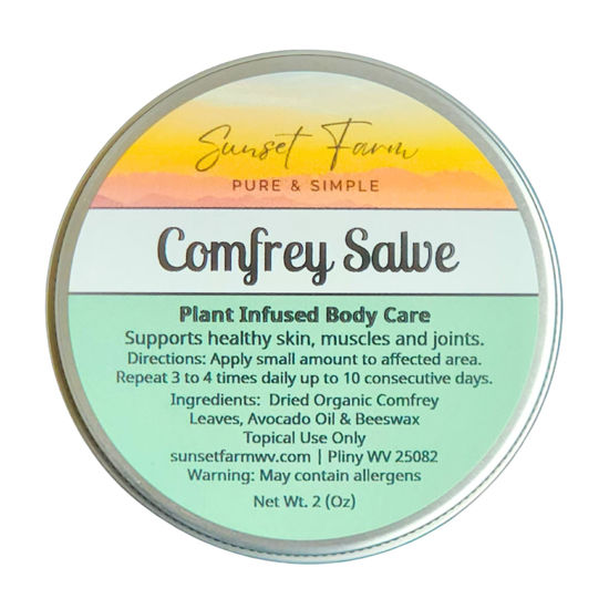 Picture of Comfrey Salve Herbal Balm Skin Body Care Ointment 2 oz