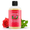 Picture of Locsanity 2-in-1 Shampoo and Conditioner for All Types of Dreadlocks and Hairstyles - Moisturizing, Nourishing, and Hydrating Shampoo and Conditioner (12 fl oz)