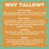 Picture of Tallow Lip Balm with Grass-fed and Finished Tallow, Organic Beeswax and Natural Peppermint Oil - Handmade With Only 3 Ingredients To Lock In Soothing Moisture (Peppermint) - 2 Pack