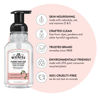 Picture of J.R. Watkins Foaming Hand Soap with Pump Dispenser, Moisturizing Foam Hand Wash, All Natural, Alcohol-Free, Cruelty-Free, Grapefruit, 9 fl oz, 3 Pack