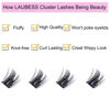Picture of Lash Clusters Extensions D Curl Individual Lashes Mixed Tray DIY Eyelash Extension Supplies Faux Mink Cluster Lashes Natural Look Fluffy (01-0.07D-9-16mm)