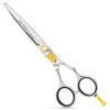 Picture of Equinox Razor Edge Series Professional Hair Scissors - 6.5” Premium Japanese Stainless Steel Hair Cutting Scissors, Hair Shears for Hair Cutting, Barber Accessories & Hair Salon Supplies - Silver
