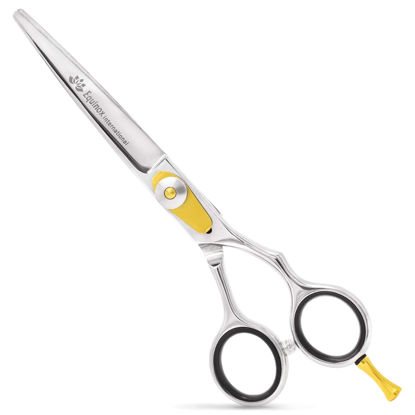 Picture of Equinox Razor Edge Series Professional Hair Scissors - 6.5” Premium Japanese Stainless Steel Hair Cutting Scissors, Hair Shears for Hair Cutting, Barber Accessories & Hair Salon Supplies - Silver