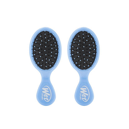 Picture of Wet Brush Detangling Brush, Mini Detangler Brush (Sky) - Wet & Dry Tangle-Free Hair Brush for Women & Men - No Tangle Soft & Flexible Bristles for Straight, Curly, & Thick Hair (Pack of 2)