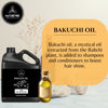 Picture of Naturevibe Botanicals Bakuchi (Babchi) Oil 32 Ounces | 100% Pure and Natural | Great for Skin Care and Hair Care