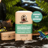 Picture of Dr. Squatch Natural Deodorant for Men 3 Pack Rainforest Rapids - Odor-Squatching Men's Deodorant Aluminum Free (2.65 oz, 3 Pack)