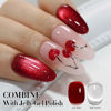 Picture of Double Rhythm 0.5 OZ Cat Eye Gel Polish with Magnet 15ML Holographic Glitter Shimmer Translucent Jelly Color Magnetic Nail Polish Salon DIY at Home (MC1019)