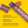 Picture of Burt’s Bees Lip Shimmer Pink Collection; Luminescent Color; High Impact, Instant Moisture; with Shea and Cocoa Butters; 100% Natural Origin; 3 Shades; Value Pack, 3 Tubes x 0.09 Oz. (Pack May Vary)