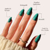 Picture of Glamnetic Press On Nails - Emerald Green | Opaque Cool Tone, Deep Emerald Green Short Almond Short Almond False Nails, Reusable Stick On Fake Nails with Glue | Salon Quality | 15 Sizes - 30 Nail Kit