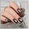 Picture of GAOY Jelly Black Cat Eye Gel Nail Polish, 16ml Glitter Holographic Nail Polish with Magnet, Reflective Translucent UV Gel, 2946 Black Pearls