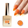 Picture of CANNI Jelly Orange Gel Nail Polish, 1Pcs Jelly Orange Brown Fall Gel Polish Translucent Jelly Color Nail Polish Gel High Gloss Soak Off U V Gel Nail French Nail Manicure Salon DIY