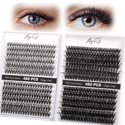 Picture of Lash Clusters 480 Clusters 60D 80D Thick Eyelash Extension 30D 40D Fluffy Individual Eyelashes D Curl 11-20mm False Eyelash Multi-Style DIY Lash Extensions for Beginners(30D-80D-D, 11-20MIX)