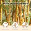 Picture of GAINWELL Bamboo Hair Brush for Hair Growth, Natural Bamboo Bristles Detangling Square Wooden Paddle Hairbrush for Massaging Scalp, for Women Men and Kids, for All Hair Types, with Ergonomic Handle