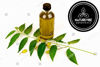 Picture of Naturevibe Botanicals Neem Oil 32 Ounces | 100% Pure and Natural | Great for Skin Care and Hair Care