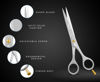 Picture of The Cut Factory- Hair Scissors and Barber Scissors Professional- 6 iches Finest Stainless Steel Hair Cutting Scissors with Smooth Razor Edge Blades -Use for Salon & Personal Use (White)