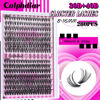 Picture of Calphdiar Natural Lash Clusters 30D+40D Eyelash Clusters 8-16mm Cluster Eyelash Extensions Wispy Lashes Clusters 240Pcs Individual Lashes DIY Lash Extension for Beginners