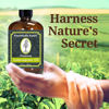 Picture of Essentially KateS Lemongrass Essential Oil 4 Fl Oz - 100% Pure and Natural - Hair Care, Home Diffusers, Skin Care, Aromatherapy, Massage and Humidifiers, and Garden Care