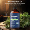 Picture of Botanic Hearth 100% Pure Rosemary Oil For Hair Growth Infused With Biotin | Hair Strenghtening Treatment | Nourishing & Volumizing | With Jojoba Oil & Castor Oil | Non GMO Verified | 2 fl oz