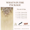 Picture of GOO GOO Clip in Hair Extensions Real Human Hair, Remy Human Hair Extensions Clip ins for Women, Natural Human Hair, 22inch 120g 7Pcs, #R7/60F
