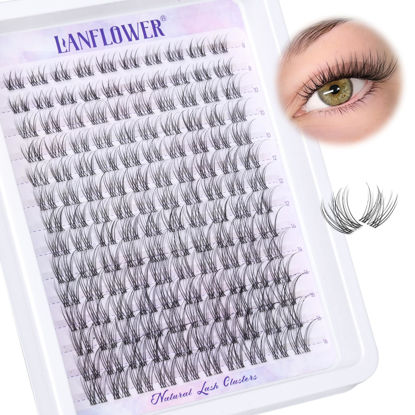 Picture of Natural Lash Clusters Clear Band Eyelash Clusters Wispy Individual Lashes C Curl Cluster Eyelash Extensions Invisible Band Cluster Lashes by Lanflower