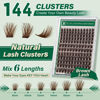 Picture of KEYYOU Brown Lash Clusters 144pcs Eyelash Clusters 8-18MIX D Curl Cluster Lashes Soft Fluffy Wispy Lash Clusters Natural Look Brown DIY Lash Extension At Home(Brown01-D-8-18MIX)