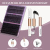 Picture of Ocean Pearl Lash Clusters 320PCS 11-20mm Lash Extension Kit 30D+40D+60D Eyelash Extension Kit Individual Lashes Thick Eyelash Clusters Lashes Clusters with Eyelashes Bond+Seal+Adhesive+Tweezer-60D