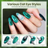 Picture of Beetles Green Gel Nail Polish Set, Cat Eye Jelly Gel Polish with Color Swatch Dots Magnet, 6 Color Glitter Enchanted Forest Theme for Salon Gel Manicure Nail Art DIY at Home