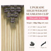 Picture of GOO GOO Clip in Hair Extensions Real Human Hair, Remy Human Hair Extensions Clip ins for Women, Natural Human Hair, 20inch 150g 7Pcs, 5A/90/16F Bahamian Balayage