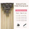 Picture of GOO GOO Clip in Hair Extensions Real Human Hair, Remy Human Hair Extensions Clip ins for Women, Natural Human Hair, 22inch 110g 7Pcs, 5A/90/16F Bahamian Balayage