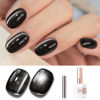 Picture of Double Rhythm Jelly Glass Cat Eye Gel Polish with Magnet 15ML Holographic Glitter Shimmer Translucent Sheer Color Magnetic Nail Polish Salon DIY at Home (Jelly Black-MC1115)