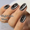 Picture of Double Rhythm Jelly Glass Cat Eye Gel Polish with Magnet 15ML Holographic Glitter Shimmer Translucent Sheer Color Magnetic Nail Polish Salon DIY at Home (Jelly Black-MC1115)