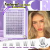 Picture of Wispy Lash Clusters Invisible Band Natural Lash Extensions Waterproof 8-16mm Cluster Eyelash Extension D Curl DIY Individual Cluster Lashes by ALICE