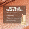Picture of Oulac Matte Lipstick with Metallic Shine, Comfortable Creamy Texture, Smooth No Grainy Feeling, Vegan & Gluten Free, Full-Coverage Lip Colour 4.3 g, GM10 Chicness