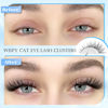 Picture of PHKERATA Wispy Lash Clusters Natural Eyelash Clusters 7-15 mm C Curl Eyelash Clusters Lashes 144 pcs Wispy Cat Eye Individual Lashes Clusters DIY Eyelash Extensions