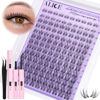 Picture of ALICE Cluster Eyelash Extension Kit Natural Wispy Lash Clusters Kit Lash Extension Kit Clear Band 168pcs C Curl 11-13mm Individual Lashes with Lash Glue Bond and Seal Self Application at Home