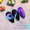 Picture of Double Rhythm Jelly Glass Cat Eye Gel Polish with Magnet 15ML Holographic Glitter Shimmer Translucent Sheer Color Magnetic Nail Polish Salon DIY at Home (Blue Purple-MC1049)