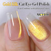 Picture of Double Rhythm Jelly Glass Cat Eye Gel Polish with Magnet 15ML Holographic Glitter Shimmer Translucent Sheer Color Magnetic Nail Polish Salon DIY at Home (MC1106)