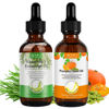 Picture of Generic Rosemary Oil and Pumpkin Seed Oil Kit, Hair Growth Oil for Dry Damaged Hair, Moisturizing Scalp, Face, Nails, Body, Skin, Clear