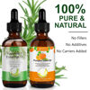 Picture of Generic Rosemary Oil and Pumpkin Seed Oil Kit, Hair Growth Oil for Dry Damaged Hair, Moisturizing Scalp, Face, Nails, Body, Skin, Clear