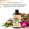 Picture of Botanic Hearth Castor Oil (2 fl oz) | USDA Certified Organic | 100% Pure & Hexane Free | Cold Pressed |Promotes Growth for Eyelashes, Eyebrows & Hair | Includes Eyebrow & Eyelash Brush