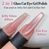 Picture of Double Rhythm Jelly Glass Cat Eye Gel Polish with Magnet 15ML Holographic Glitter Shimmer Translucent Sheer Color Magnetic Nail Polish Salon DIY at Home (Jelly Pink Orange-MC1102)