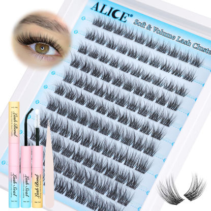 Picture of ALICE Fluffy Lash Cluster Kit Faux Mink Eyelash Extension Kit 10-16mm 132pcs DIY Lash Extension Kit Wispy 3D C Curl Eyelash Clusters with Lash Glue Bond and Seal Self Application at Home