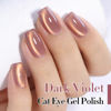 Picture of Double Rhythm 15ML Ice Glass Cat Eye Gel Polish with Magnet Holographic Glitter Shimmer Translucent Sheer Color Salon Soak Off Magnetic Nail at Home (Dark Violet-MC1129)
